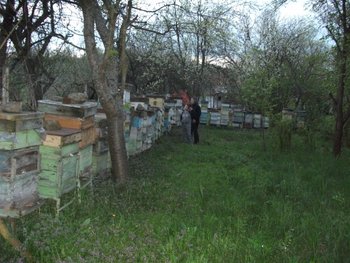 DSCF4669 (Small).JPG