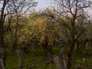 20042011409.jpg