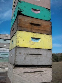 IMG_20120221_101658.jpg