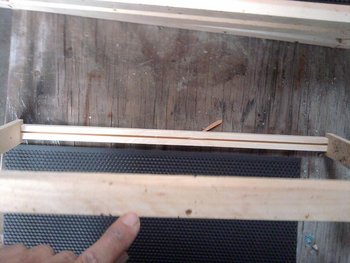 IMG_20120302_161229.jpg