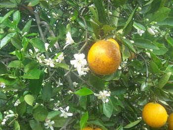 IMG_20120311_112807 (Medium).jpg