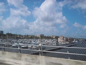 IMG_20120406_120231 (Medium).jpg