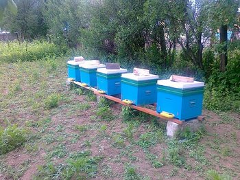 13052012238.jpg