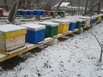 2012-01-14 09.25.39.jpg