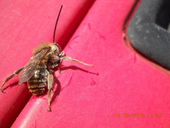 rsz_3dscn2872.jpg