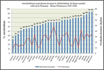 productia de miere la hibrizi de floarea soarelui autofertili.jpg