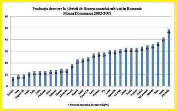productia de miere la hibrizi de floarea soarelui.jpg