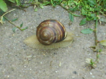 DSC05444.JPG