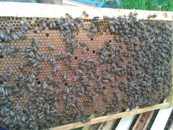 2012-05-16 18.44.35.jpg