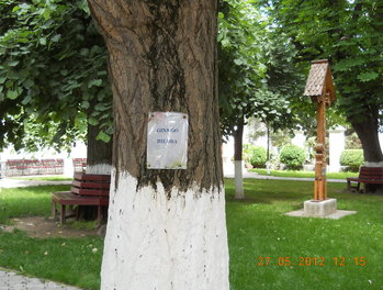 rsz_3dscn2905.jpg