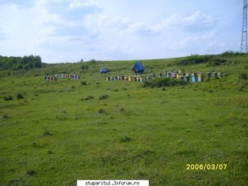 ok_28195.jpg