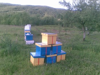 Poza.jpg