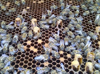 IMG-20120604-00082.jpg