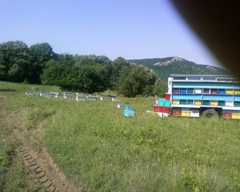 Fotografii-0003.jpg