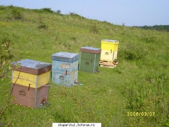 ok_28199.jpg