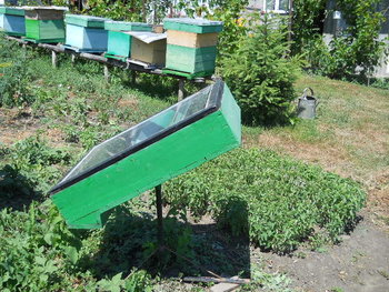 DSCN1542.JPG
