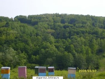 ok_28200.jpg