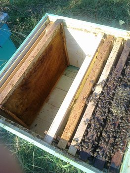 28062012121.jpg
