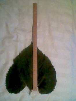 27.7cm.JPG