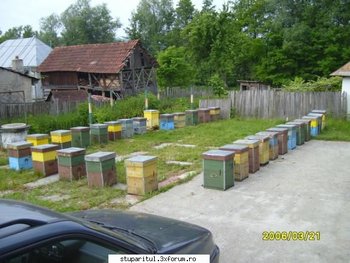 ok_28201.jpg