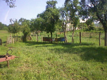 Fotografii-0031.jpg