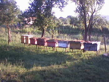 Fotografii-0014.jpg