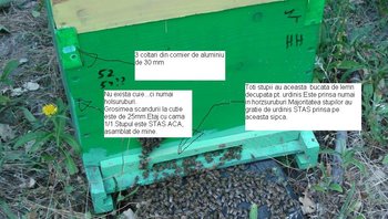 poze stupi 1.JPG