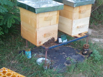 IMG128.jpg