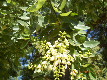 rsz_dscn3140.jpg