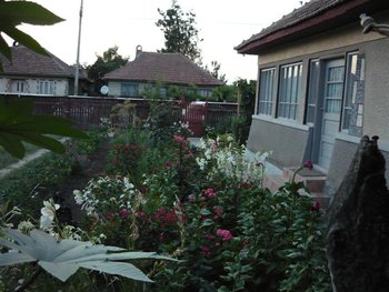 P1030350 (Medium).JPG