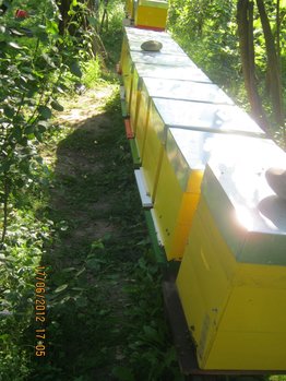 IMG_0166.jpg