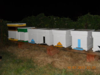 rsz_dscn3182.jpg