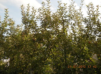 rsz_2dscn3225.jpg