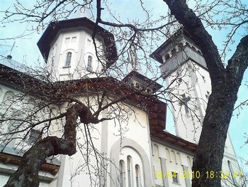 PIC_0137 (Medium).JPG