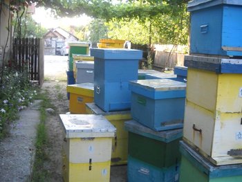 DSCN5688 (Medium).jpg