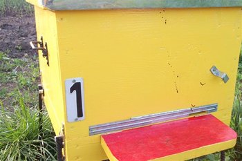 DSCF1022 (Small).JPG