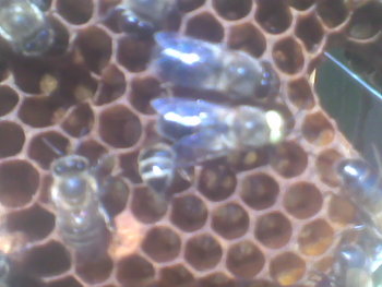 Mar-Apr 2012055.jpg