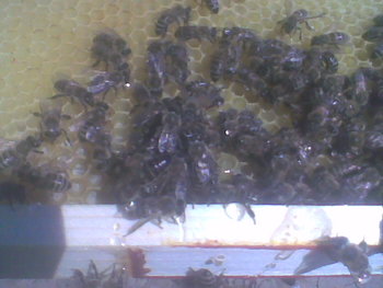 Mar-Apr 2012060.jpg