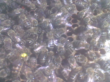 Mar-Apr 2012054.jpg