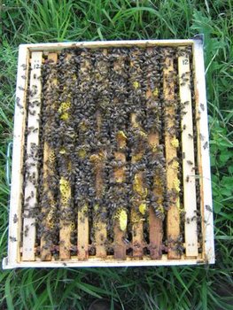 IMG_5694 (Small).jpg