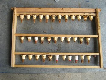 IMG_5691 (Small).jpg