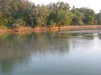 IMG_5749 (Small).jpg