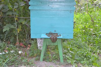 DSC_0046.jpg