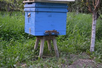 DSC_0047.jpg