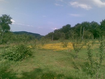 Poza(037).jpg