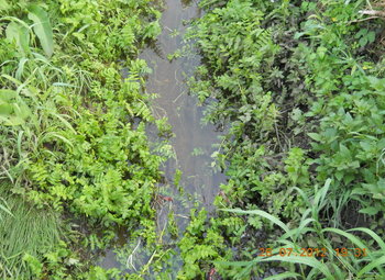 rsz_4dscn3393.jpg