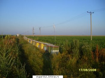 ok_28206.jpg