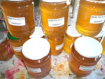 DSC02002 (Small).JPG