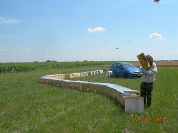 DSCN5402.jpg