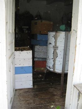 IMG_5766 (Small).jpg